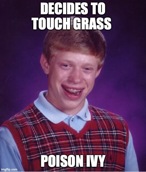 Bad Luck Brian | DECIDES TO TOUCH GRASS; POISON IVY | image tagged in memes,bad luck brian | made w/ Imgflip meme maker