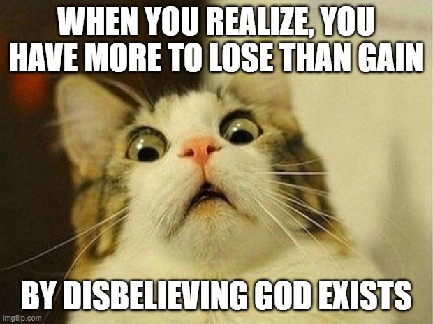 Pascal's Cat | WHEN YOU REALIZE, YOU HAVE MORE TO LOSE THAN GAIN; BY DISBELIEVING GOD EXISTS | image tagged in memes,scared cat,pascal wager,jesus christ,god,god exists | made w/ Imgflip meme maker
