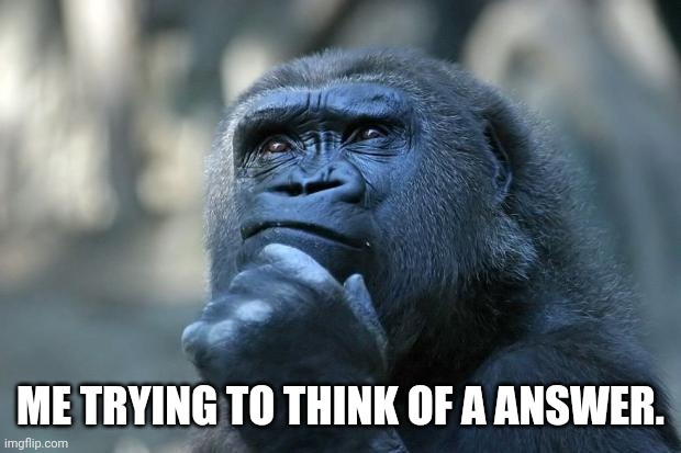 Deep Thoughts | ME TRYING TO THINK OF A ANSWER. | image tagged in deep thoughts | made w/ Imgflip meme maker