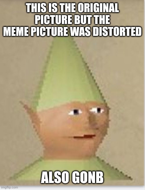 Runescape gnome child | THIS IS THE ORIGINAL PICTURE BUT THE MEME PICTURE WAS DISTORTED ALSO GONB | image tagged in runescape gnome child | made w/ Imgflip meme maker