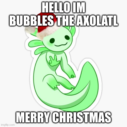repost if axolatl owner/lover/just a axolatl | HELLO IM BUBBLES THE AXOLATL; MERRY CHRISTMAS | image tagged in merry christmas | made w/ Imgflip meme maker