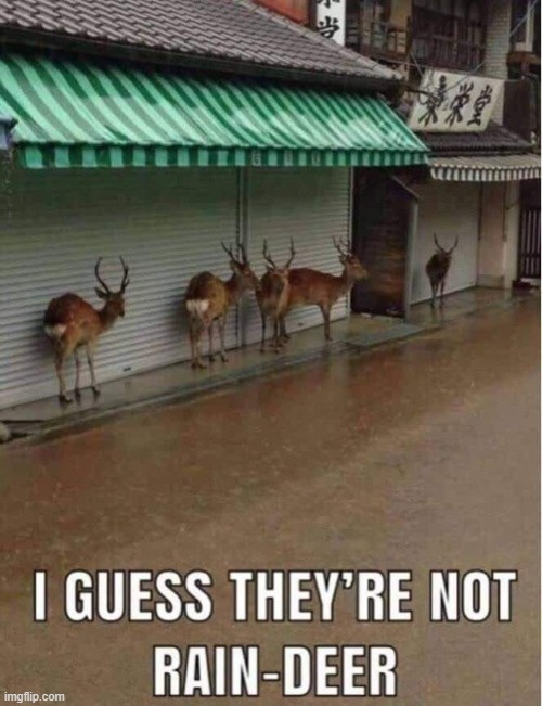 image tagged in puns | made w/ Imgflip meme maker