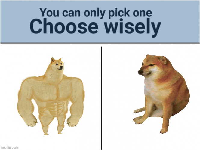 Choose wisely | image tagged in choose wisely | made w/ Imgflip meme maker