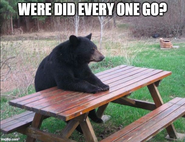 Lonely Bear | WERE DID EVERY ONE GO? | image tagged in lonely bear | made w/ Imgflip meme maker