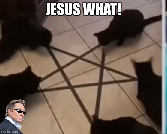 Jesus what! | JESUS WHAT! | image tagged in jesus,wtf | made w/ Imgflip meme maker