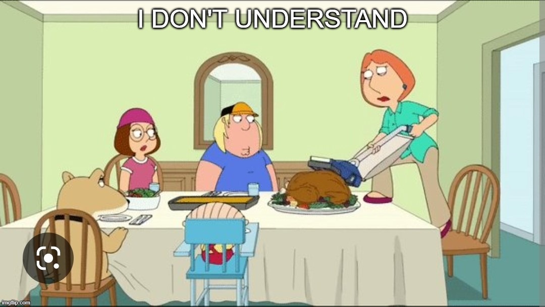 I don't understand | I DON'T UNDERSTAND | image tagged in family guy,lois griffin,thanksgiving | made w/ Imgflip meme maker