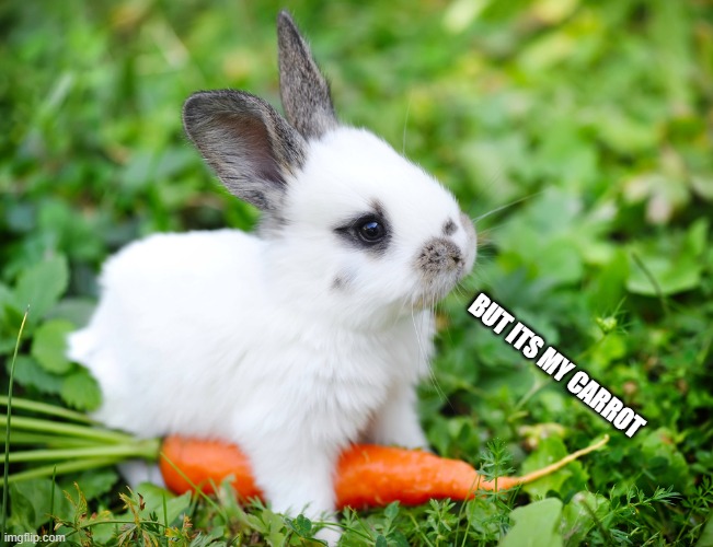 Bunny & Carrot | BUT ITS MY CARROT | image tagged in bunny carrot | made w/ Imgflip meme maker