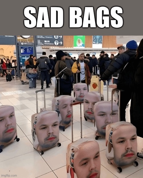 So sad… | SAD BAGS | image tagged in sad | made w/ Imgflip meme maker
