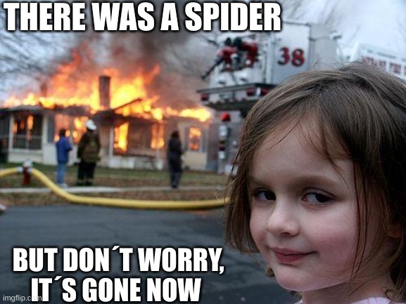 Lol | THERE WAS A SPIDER; BUT DON´T WORRY,
 IT´S GONE NOW | image tagged in memes | made w/ Imgflip meme maker