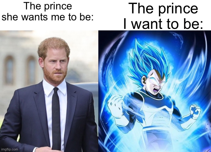 The prince she wants me to be:; The prince I want to be: | made w/ Imgflip meme maker