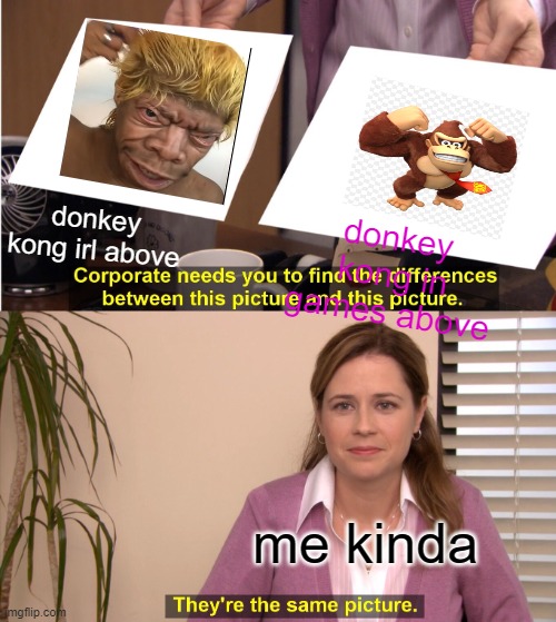 spot the diference | donkey kong irl above; donkey kong in games above; me kinda | image tagged in memes,they're the same picture | made w/ Imgflip meme maker