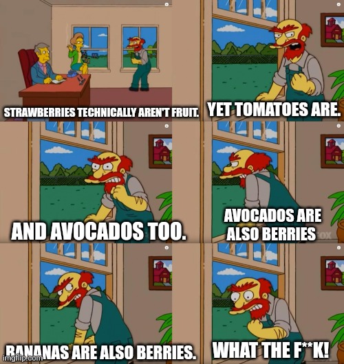Idk | YET TOMATOES ARE. STRAWBERRIES TECHNICALLY AREN'T FRUIT. AVOCADOS ARE ALSO BERRIES; AND AVOCADOS TOO. BANANAS ARE ALSO BERRIES. WHAT THE F**K! | image tagged in memes,funny,fruit,what is this | made w/ Imgflip meme maker