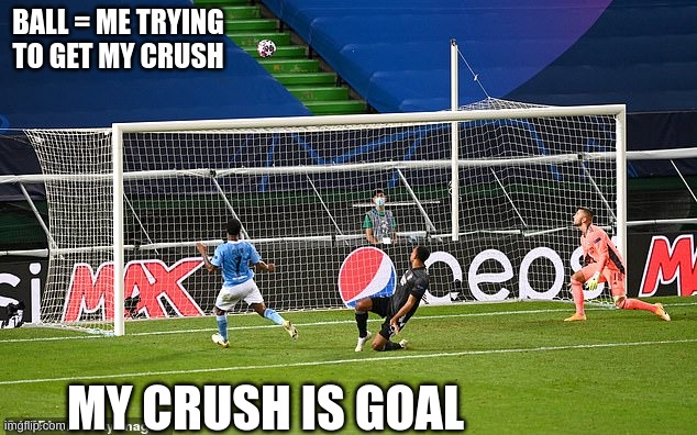 BALL = ME TRYING TO GET MY CRUSH; MY CRUSH IS GOAL | image tagged in meme,sports,sportsfails | made w/ Imgflip meme maker