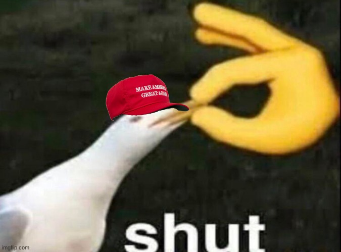 SHUT | image tagged in shut | made w/ Imgflip meme maker