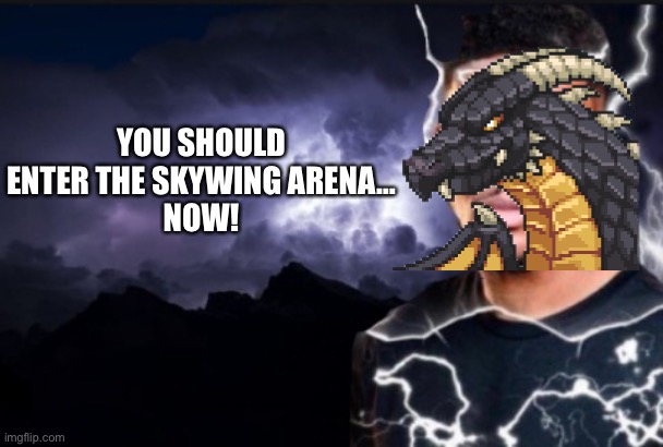 95% won’t get the joke ? | YOU SHOULD ENTER THE SKYWING ARENA…
NOW! | image tagged in you should kill yourself now,balls,wings of fire,funny,memes | made w/ Imgflip meme maker