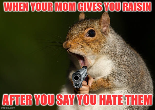 i hat raisins | WHEN YOUR MOM GIVES YOU RAISIN; AFTER YOU SAY YOU HATE THEM | image tagged in funny | made w/ Imgflip meme maker