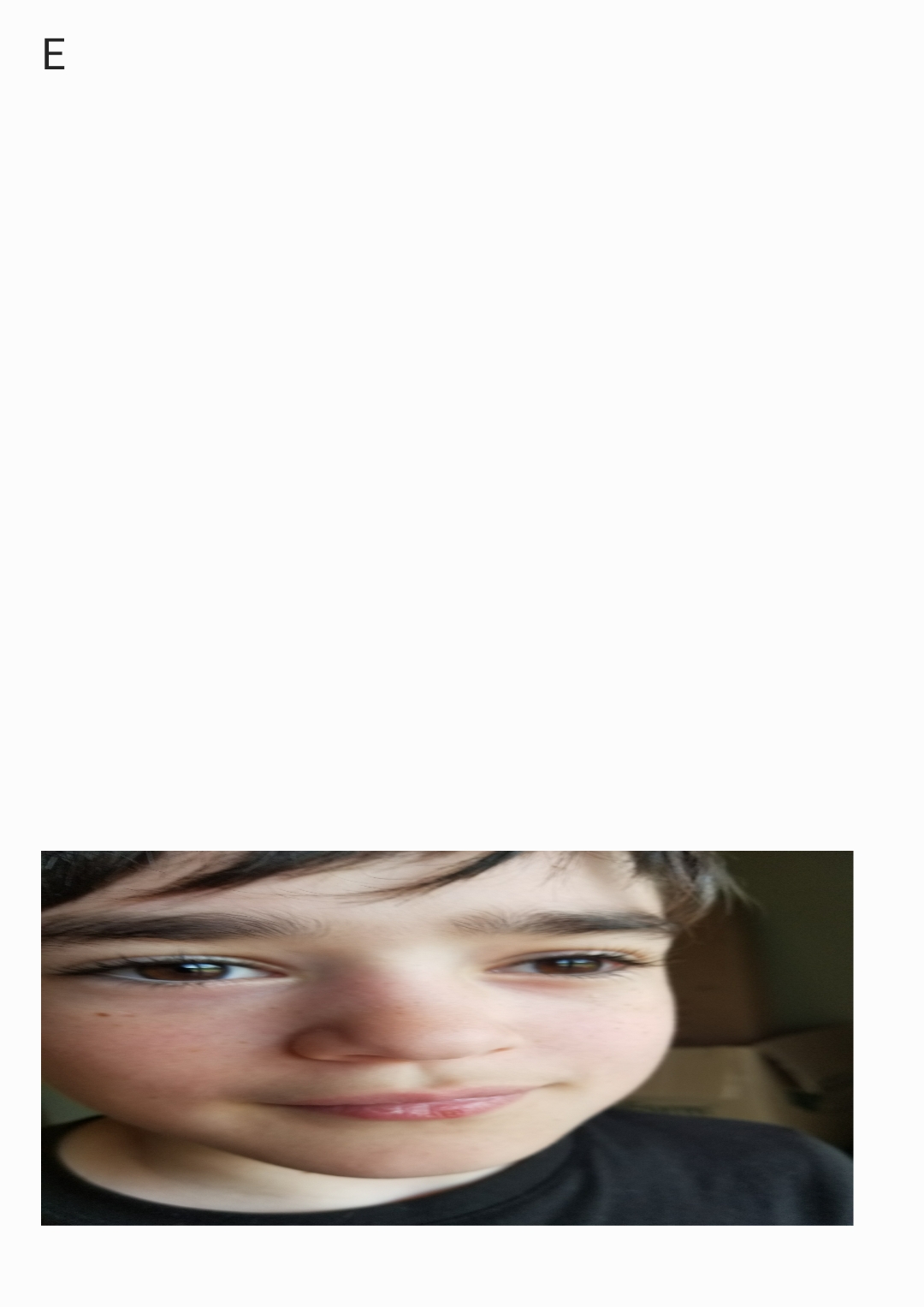 E Blank Meme Template