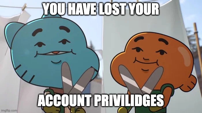 lost privileges | YOU HAVE LOST YOUR ACCOUNT PRIVILIDGES | image tagged in lost privileges | made w/ Imgflip meme maker