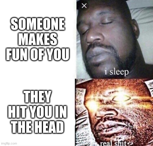 i sleep real shit | SOMEONE MAKES FUN OF YOU; THEY HIT YOU IN THE HEAD | image tagged in i sleep real shit | made w/ Imgflip meme maker