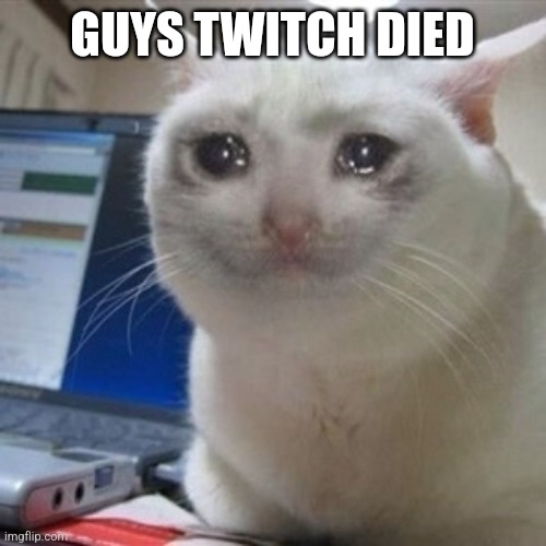The DJ | GUYS TWITCH DIED | image tagged in crying cat | made w/ Imgflip meme maker