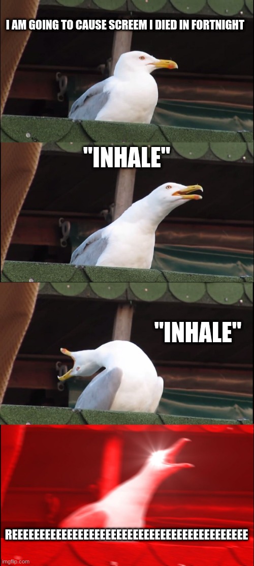 Inhaling Seagull Meme | I AM GOING TO CAUSE SCREEM I DIED IN FORTNIGHT; "INHALE"; "INHALE"; REEEEEEEEEEEEEEEEEEEEEEEEEEEEEEEEEEEEEEEEEEE | image tagged in memes,inhaling seagull | made w/ Imgflip meme maker