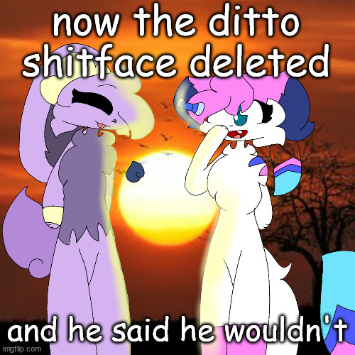 sylceon and lavender | now the ditto shitface deleted; and he said he wouldn't | image tagged in sylceon and lavender | made w/ Imgflip meme maker