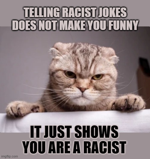 This #lolcat wonders if people realize what telling racist jokes makes them  - Imgflip