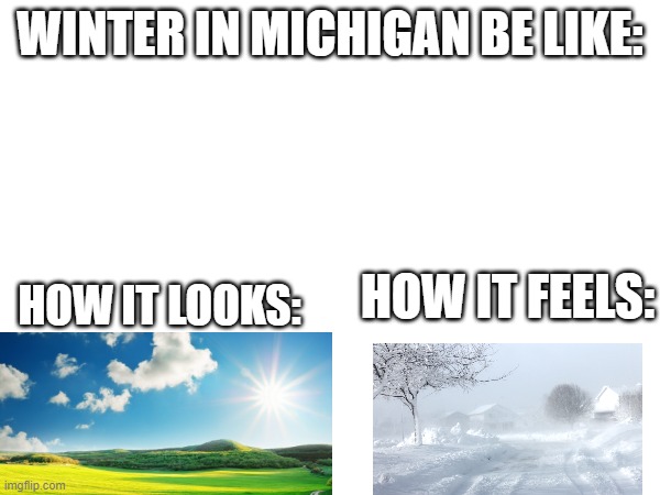 michigan | WINTER IN MICHIGAN BE LIKE:; HOW IT LOOKS:; HOW IT FEELS: | image tagged in memes | made w/ Imgflip meme maker