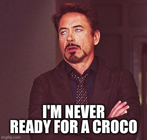 Robert Downey Jr Annoyed | I'M NEVER READY FOR A CROCO | image tagged in robert downey jr annoyed | made w/ Imgflip meme maker