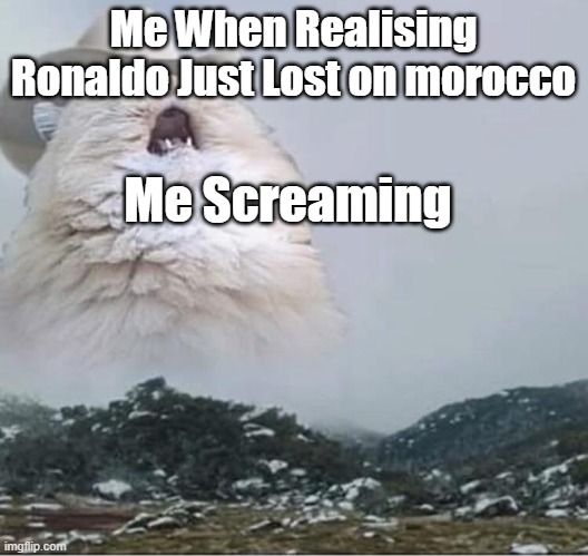 Country Roads Cat | Me When Realising Ronaldo Just Lost on morocco; Me Screaming | image tagged in country roads cat | made w/ Imgflip meme maker