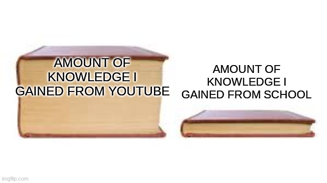 teachers r u listening | AMOUNT OF KNOWLEDGE I GAINED FROM SCHOOL; AMOUNT OF KNOWLEDGE I GAINED FROM YOUTUBE | image tagged in big book small book | made w/ Imgflip meme maker