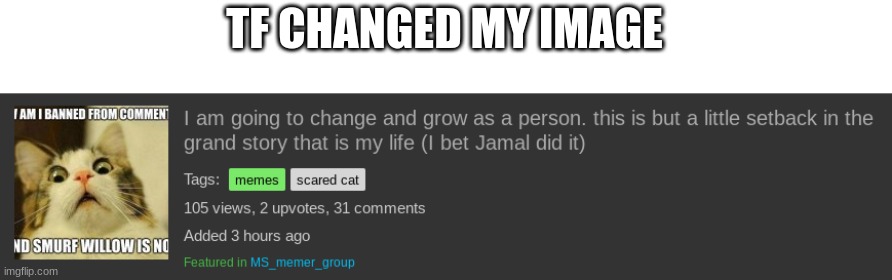 TF CHANGED MY IMAGE | made w/ Imgflip meme maker