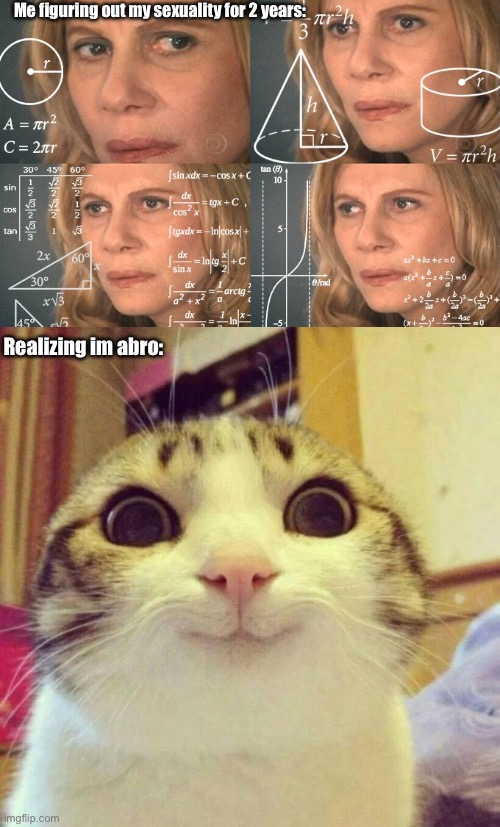 Took me way too long | Me figuring out my sexuality for 2 years:; Realizing im abro: | image tagged in calculating meme,memes,smiling cat | made w/ Imgflip meme maker