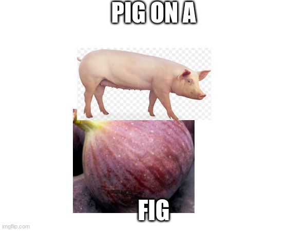 PIG ON A FIG | made w/ Imgflip meme maker