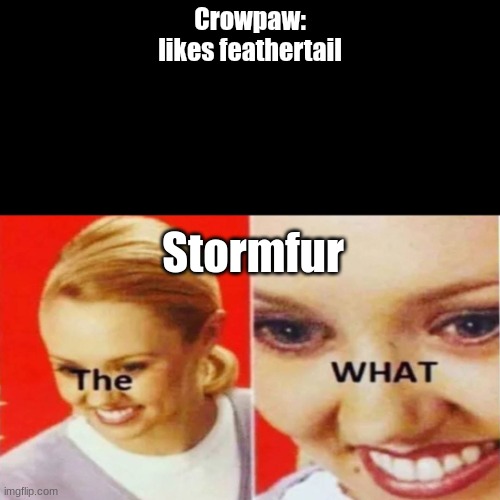 new prophecy meme | Crowpaw: likes feathertail; Stormfur | image tagged in the what | made w/ Imgflip meme maker