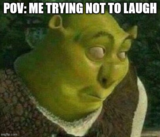 Oops shrek | POV: ME TRYING NOT TO LAUGH | image tagged in oops shrek | made w/ Imgflip meme maker