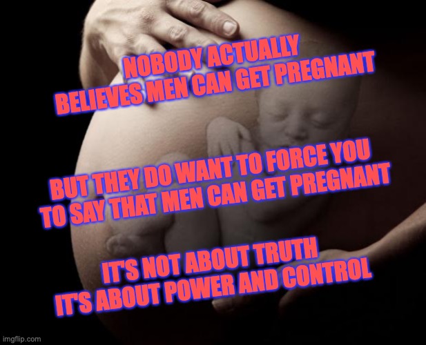 Mothers | NOBODY ACTUALLY BELIEVES MEN CAN GET PREGNANT; BUT THEY DO WANT TO FORCE YOU 
TO SAY THAT MEN CAN GET PREGNANT; IT'S NOT ABOUT TRUTH
IT'S ABOUT POWER AND CONTROL | image tagged in women,babies,trans,liberals,control | made w/ Imgflip meme maker