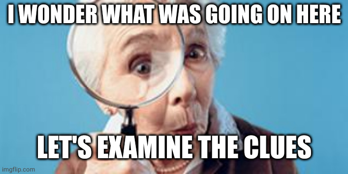 Old lady magnifying glass | I WONDER WHAT WAS GOING ON HERE LET'S EXAMINE THE CLUES | image tagged in old lady magnifying glass | made w/ Imgflip meme maker