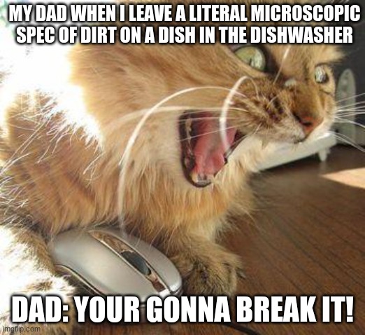 when you leave a small spot of dirt on a dish in the dishwasher | MY DAD WHEN I LEAVE A LITERAL MICROSCOPIC SPEC OF DIRT ON A DISH IN THE DISHWASHER; DAD: YOUR GONNA BREAK IT! | image tagged in angry cat | made w/ Imgflip meme maker