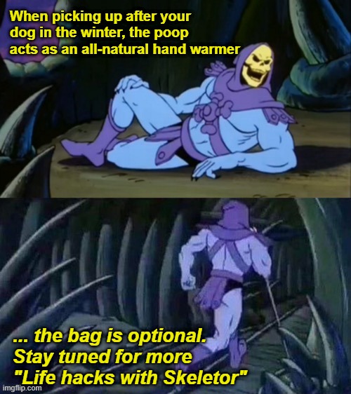 Skeletor disturbing facts | When picking up after your dog in the winter, the poop acts as an all-natural hand warmer; ... the bag is optional.
Stay tuned for more "Life hacks with Skeletor" | image tagged in skeletor disturbing facts | made w/ Imgflip meme maker