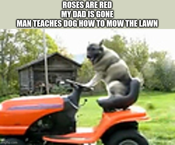 what could possibly go wrong | ROSES ARE RED
MY DAD IS GONE
MAN TEACHES DOG HOW TO MOW THE LAWN | image tagged in meme | made w/ Imgflip meme maker