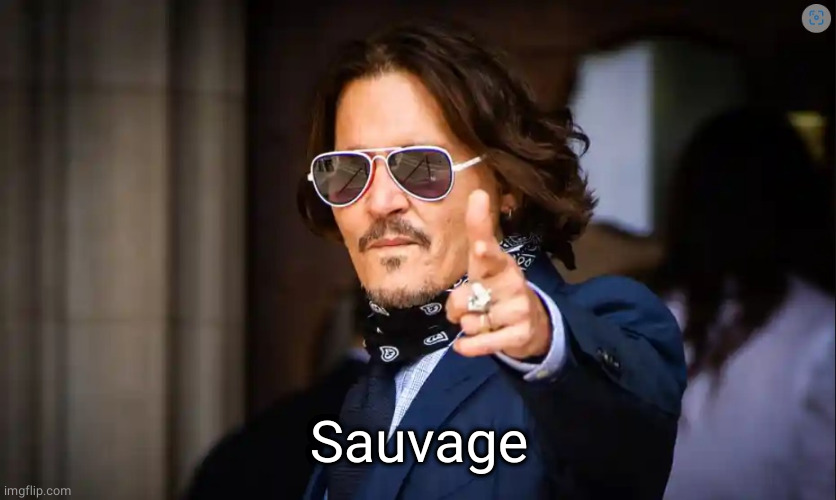 Johnny Depp | Sauvage | image tagged in johnny depp | made w/ Imgflip meme maker