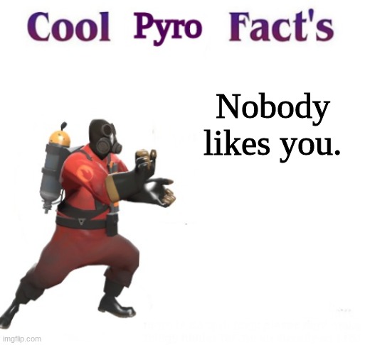 cooler pyro facts | Nobody likes you. | image tagged in cooler pyro facts | made w/ Imgflip meme maker