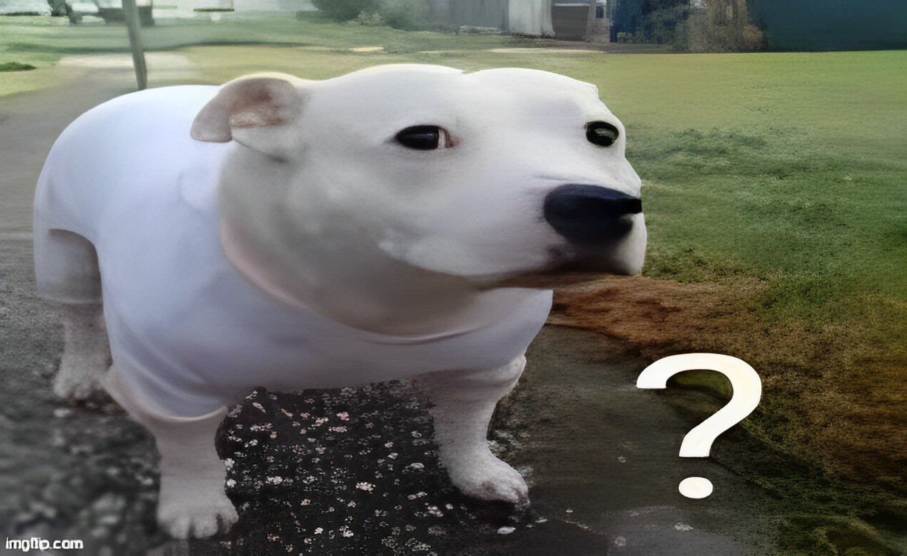 huh dog hq Blank Meme Template