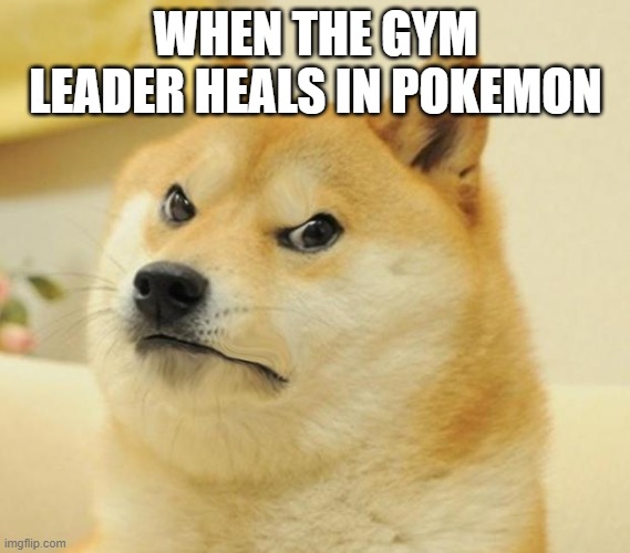 Mad doge | WHEN THE GYM LEADER HEALS IN POKEMON | image tagged in mad doge | made w/ Imgflip meme maker