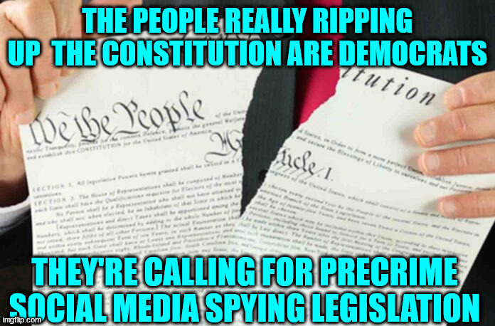 Next time they claim Trump is terminating the constitution... Laugh at them... They're doing it... | THE PEOPLE REALLY RIPPING UP  THE CONSTITUTION ARE DEMOCRATS; THEY'RE CALLING FOR PRECRIME SOCIAL MEDIA SPYING LEGISLATION | image tagged in democrats,hate,america,party of haters | made w/ Imgflip meme maker