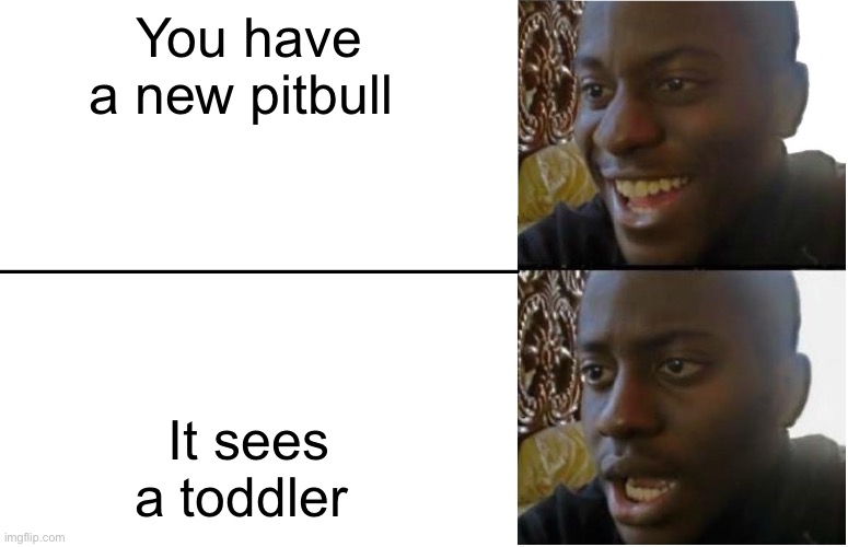 Pitbull problems | You have a new pitbull; It sees a toddler | image tagged in disappointed black guy | made w/ Imgflip meme maker