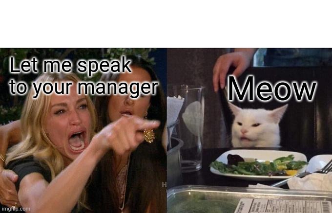 Woman Yelling At Cat Meme | Let me speak to your manager; Meow | image tagged in memes,woman yelling at cat | made w/ Imgflip meme maker