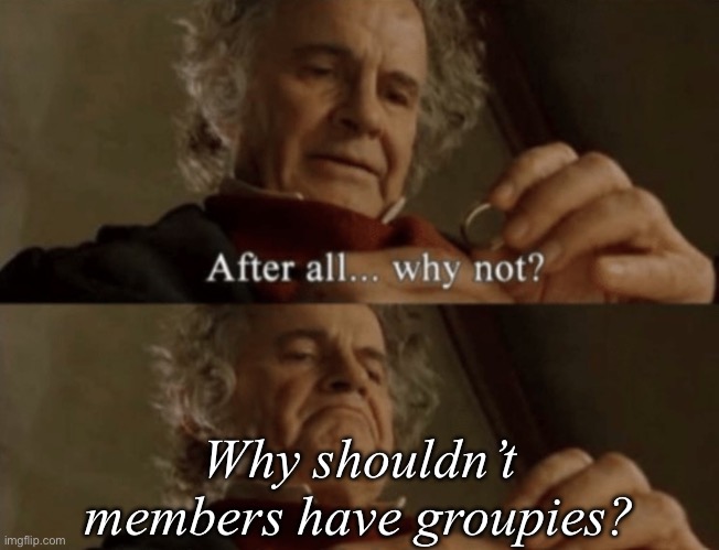 After all.. why not? | Why shouldn’t members have groupies? | image tagged in after all why not | made w/ Imgflip meme maker
