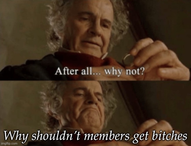 After all.. why not? | Why shouldn’t members get bitches | image tagged in after all why not | made w/ Imgflip meme maker